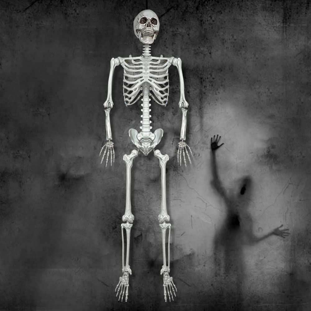 5.4Ft Life Size Human Skeleton with Movable Joints W50675