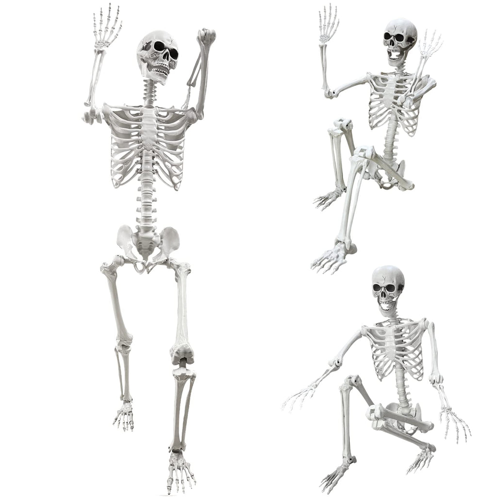 5.4Ft Life Size Human Skeleton with Movable Joints W50675