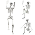 5.4Ft Life Size Human Skeleton with Movable Joints W50675