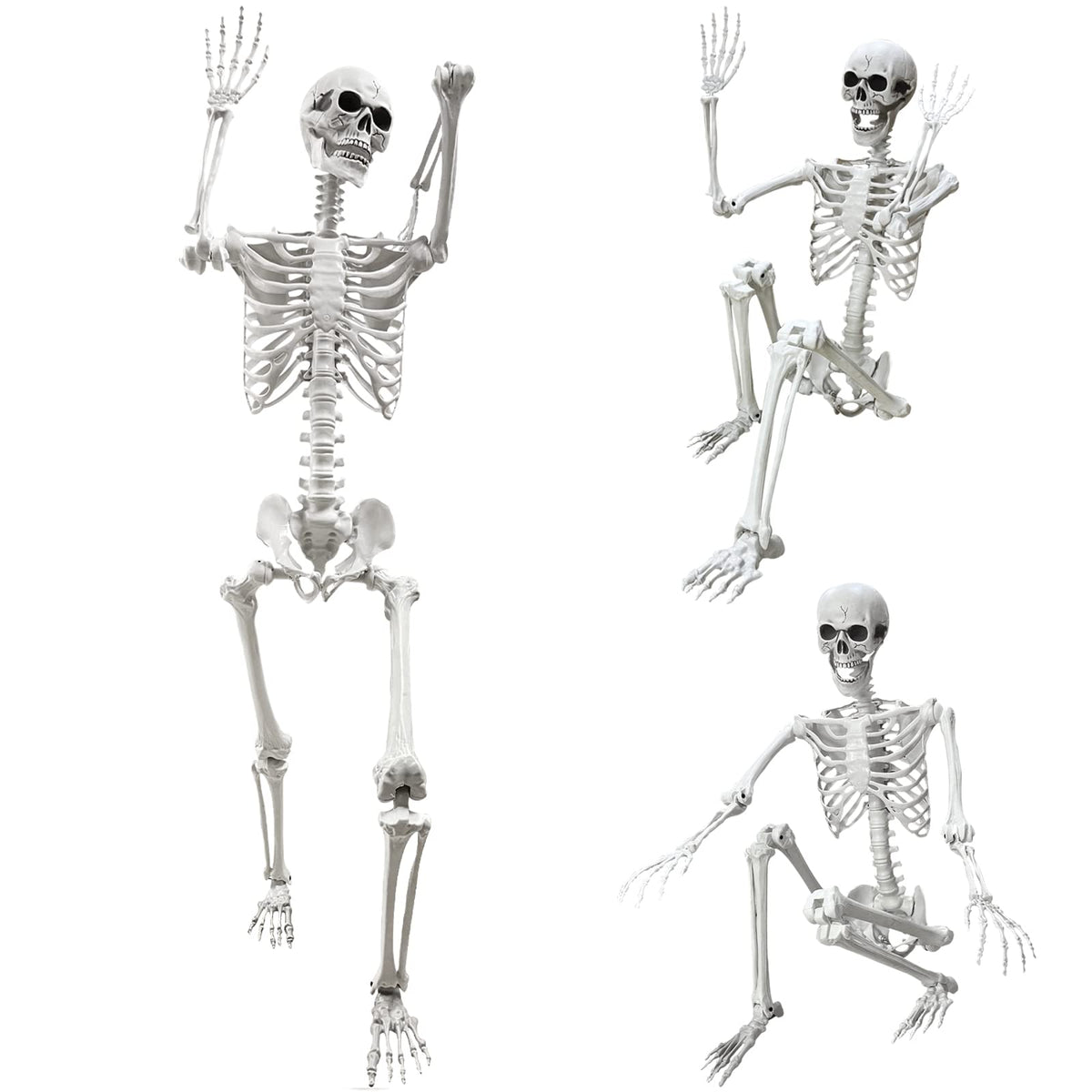 5.4Ft Life Size Human Skeleton with Movable Joints W50675