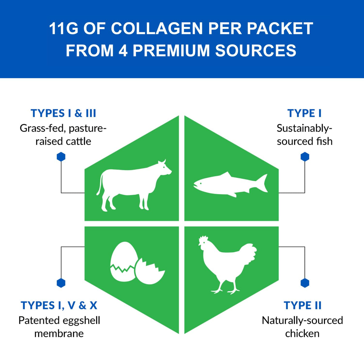 Multi Collagen Peptides Powder Types I II III V X Unflavored 16 Packets D511962