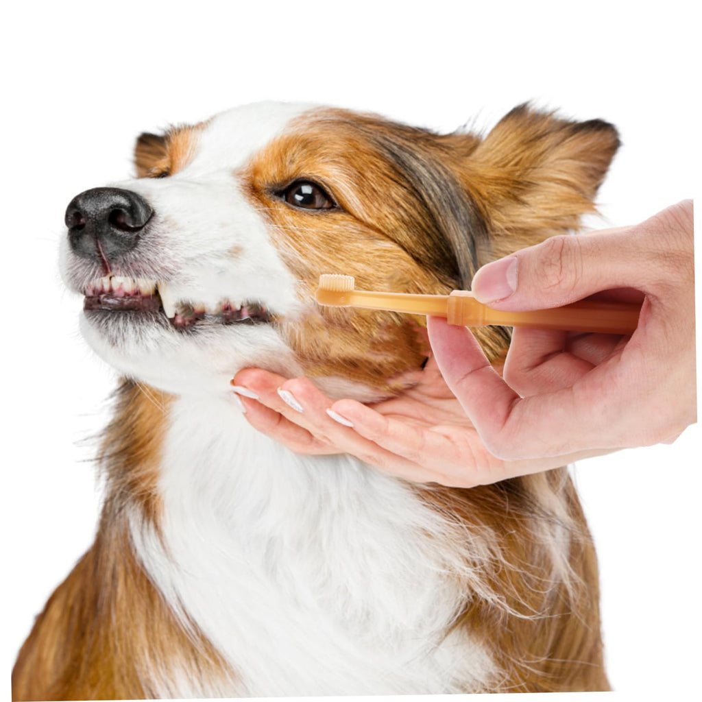 Silicone Dog Toothbrush Kit C926