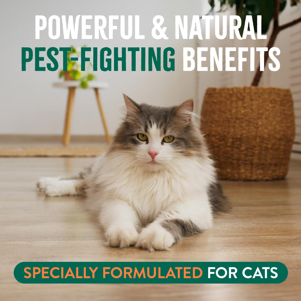 Waterless Flea and Tick Shampoo for Cats 7.4oz A6069