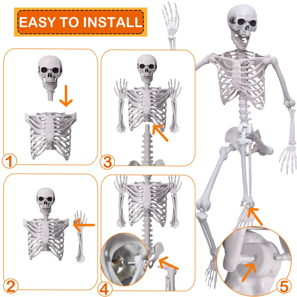 5.4Ft Life Size Human Skeleton with Movable Joints W50675