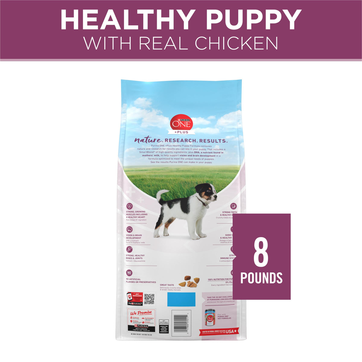 Chicken Dry Puppy Food 8 lb Bag T364391