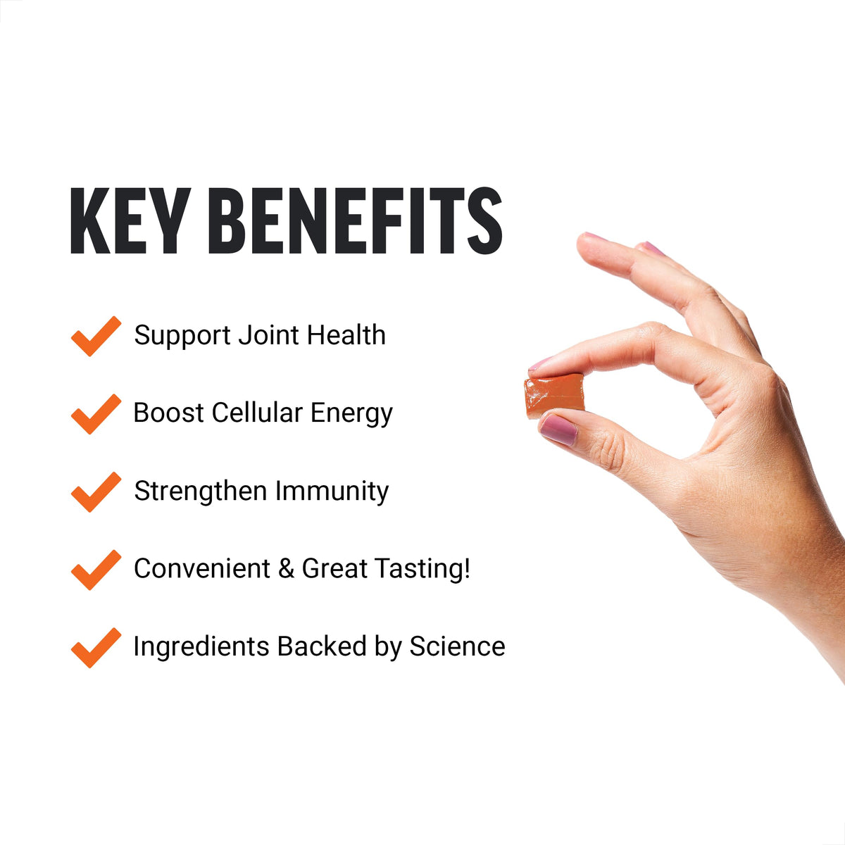 Beet Powder & Turmeric Joint Support Supplement K1662