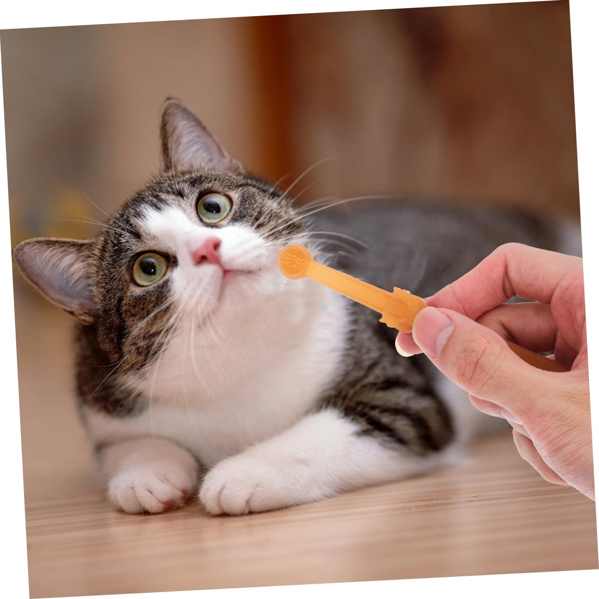 Silicone Dog Toothbrush Kit C926