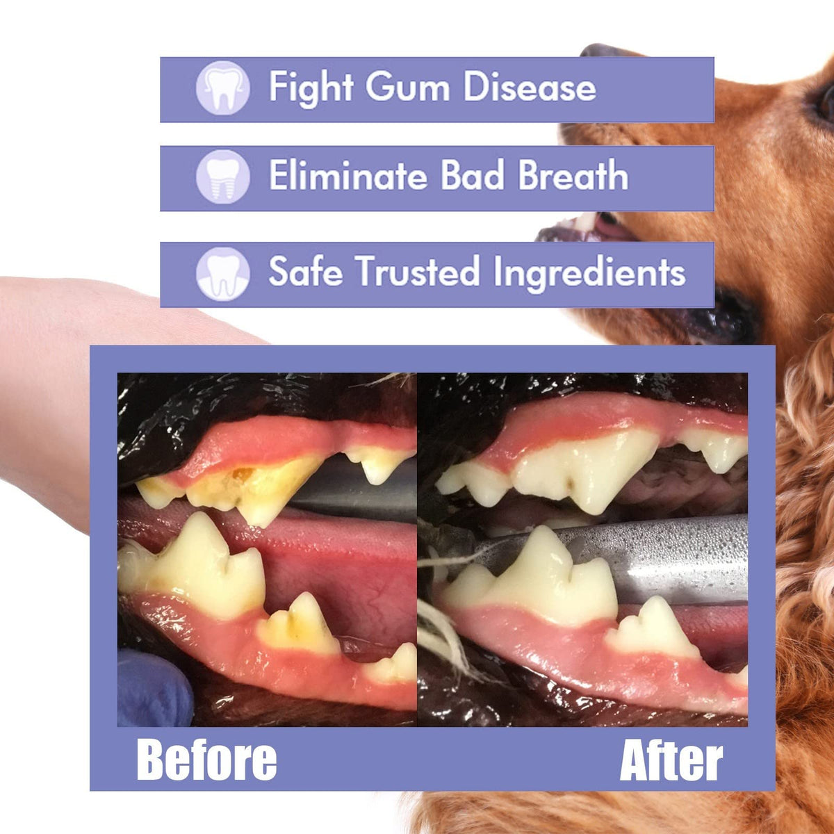 Pet Breath Freshen Spray 60ml Oral Hygiene Solution for Dogs & Cats F706131