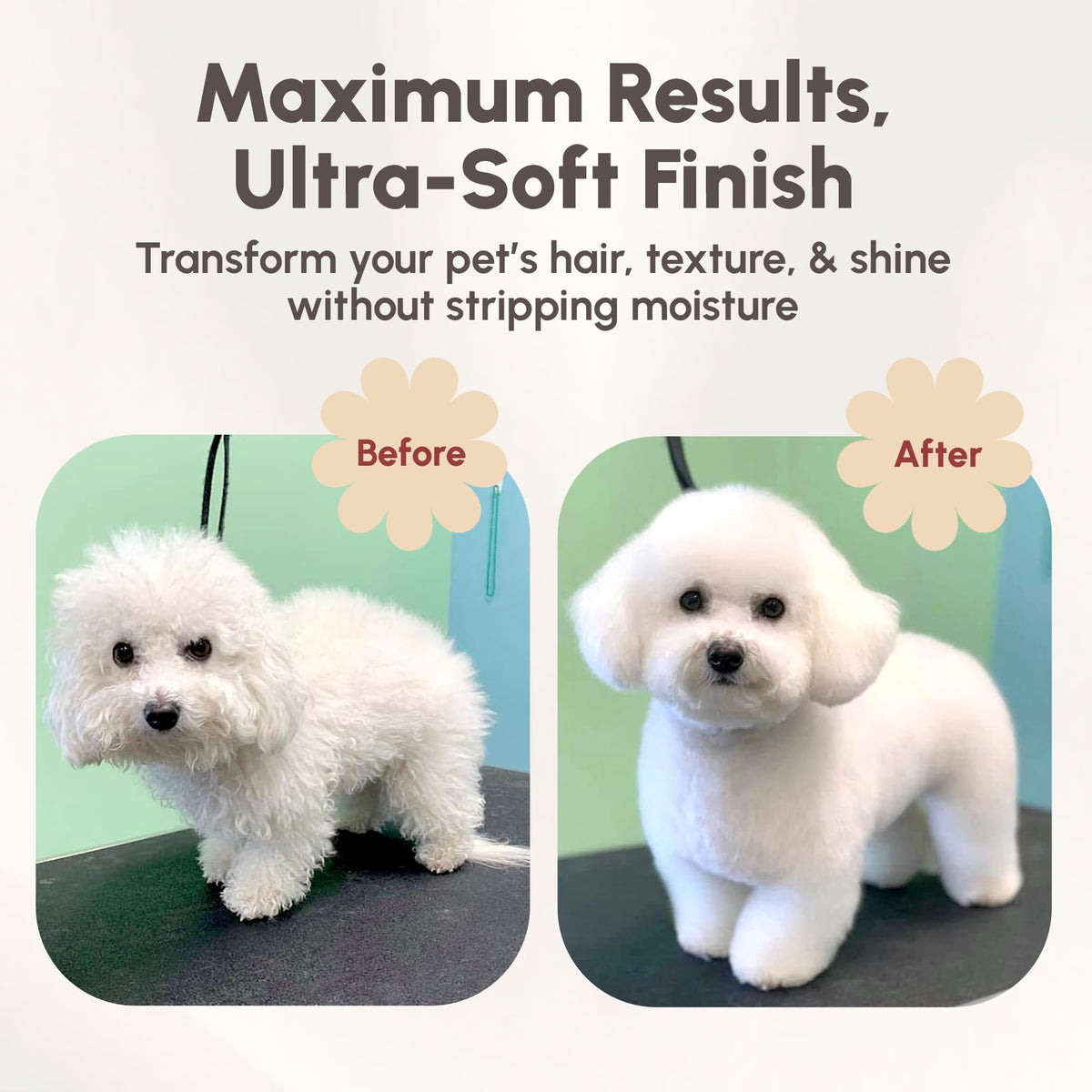 4-in-1 Pet Shampoo 1.1 Gallon W5575