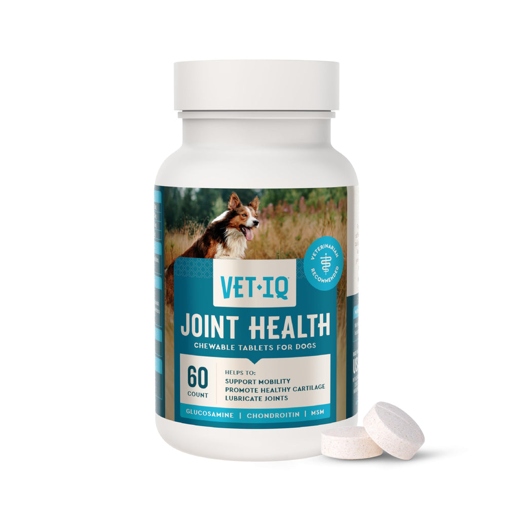 Hip & Joint Chewable Tablets for Dogs, 60ct N243