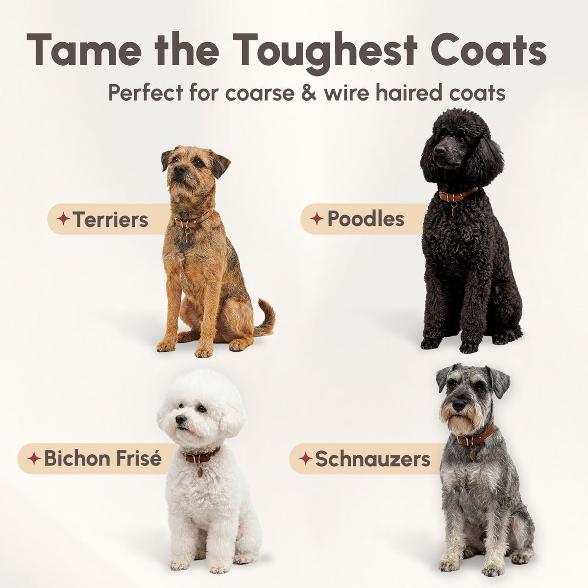 4-in-1 Pet Shampoo 1.1 Gallon W5575