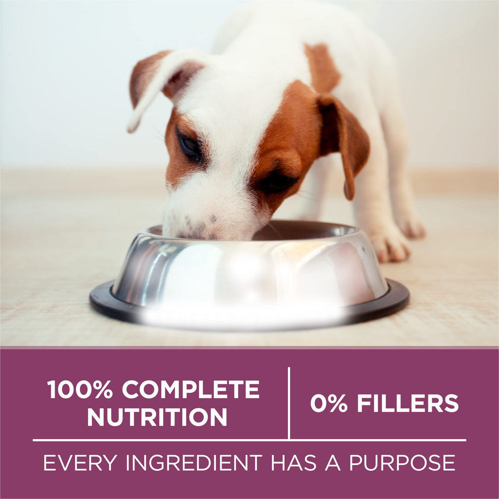 Chicken Dry Puppy Food 8 lb Bag T364391
