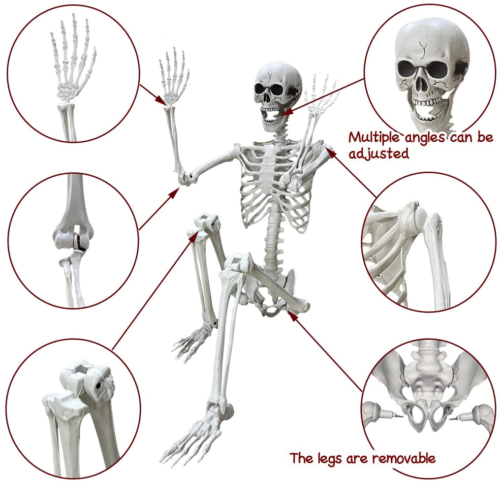5.4Ft Life Size Human Skeleton with Movable Joints W50675