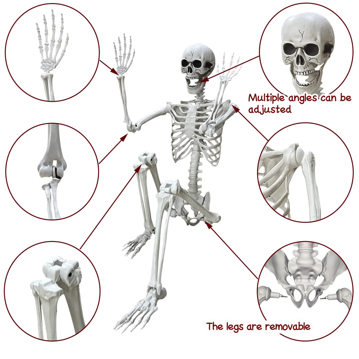 5.4Ft Life Size Human Skeleton with Movable Joints W50675