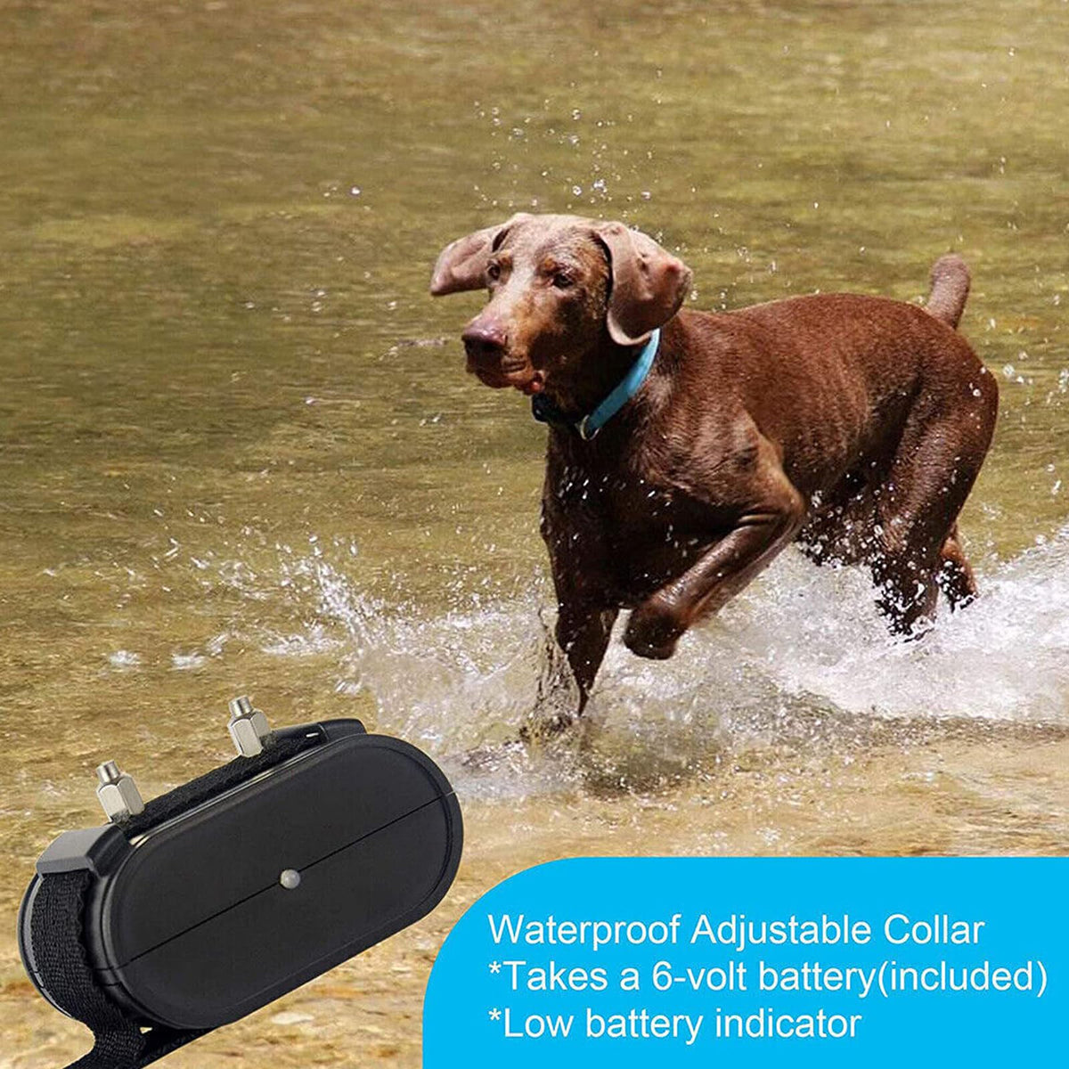 Electric In-ground Dog Fence with Waterproof Collar E7060