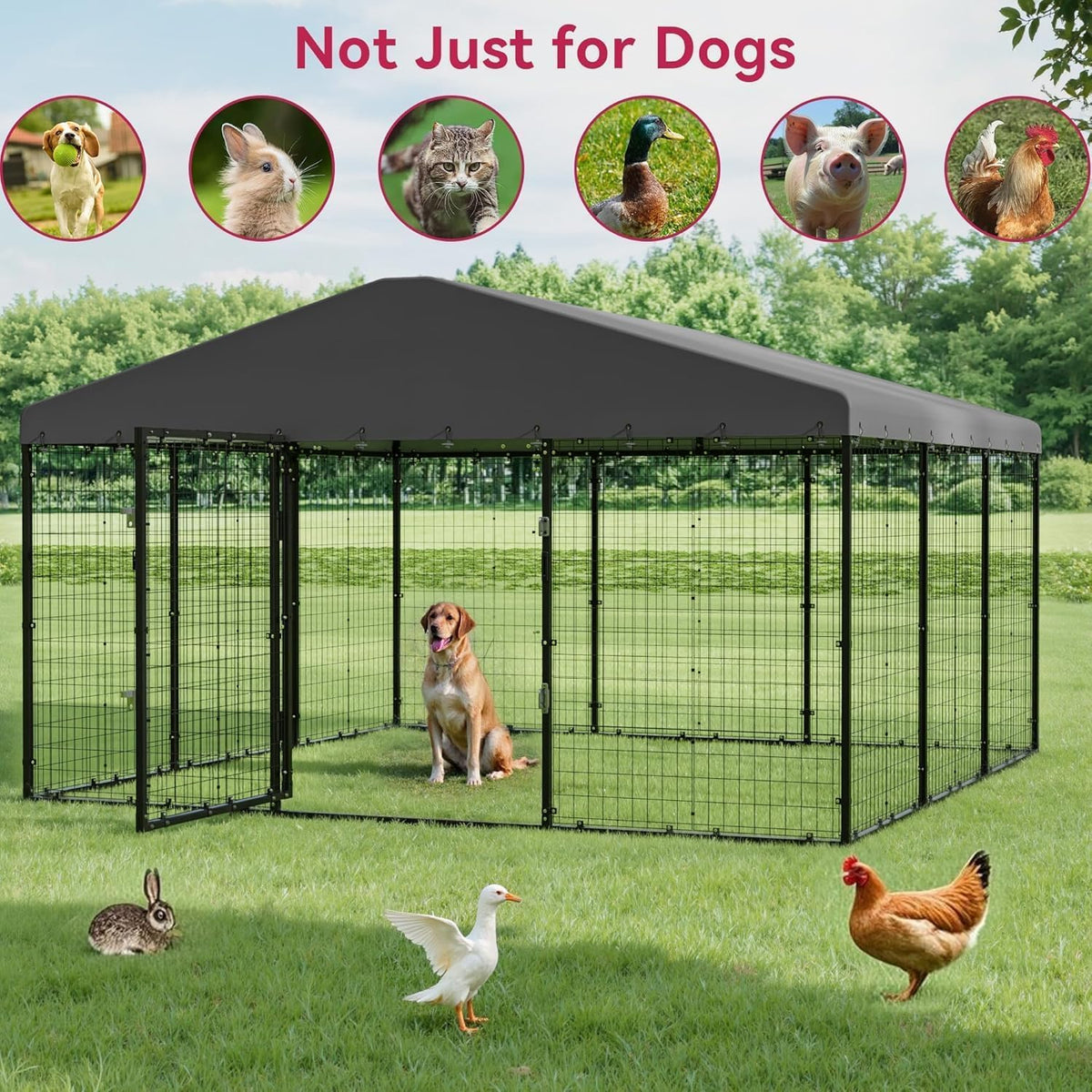 10x10x6 FT Galvanized Steel Dog Kennel with Roof D80249