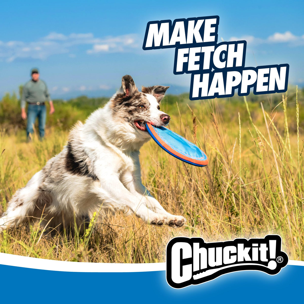 Flying Disc Dog Toy Large A275915