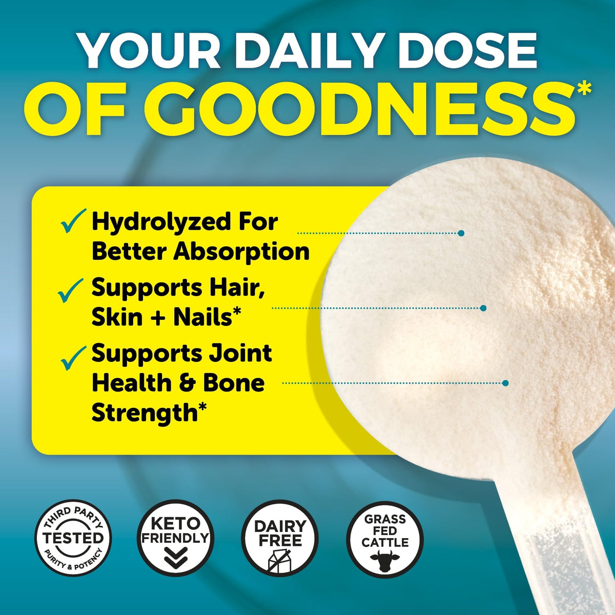 Collagen Peptides Powder - Grass-Fed Hydrolyzed Bovine, Type I & III - 19 g Protein, Unflavored - 1lb P6913