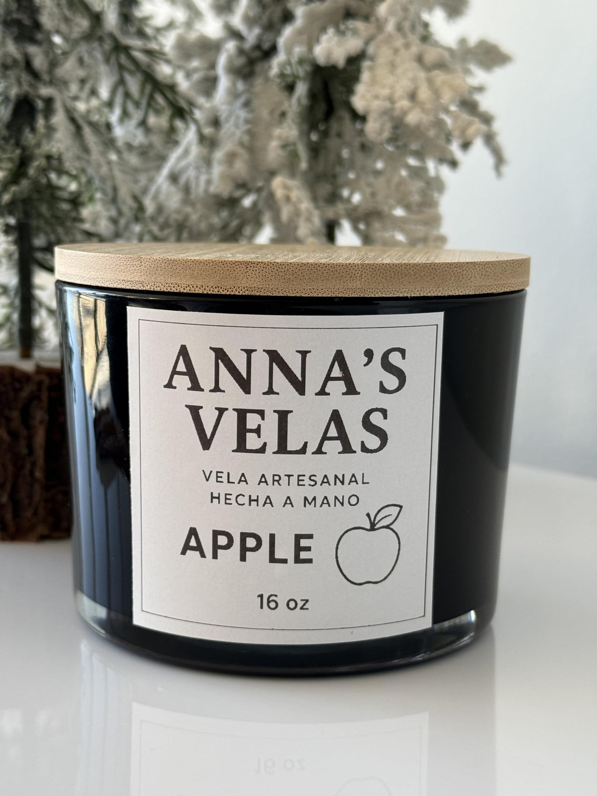 16 oz Handmade Soy Candle N9931