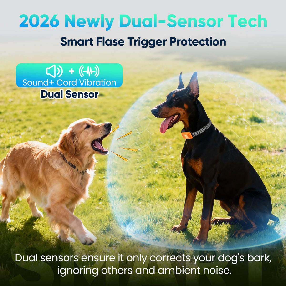 Dog Bark Collar with 7 Sensitivity, 3 Modes I248