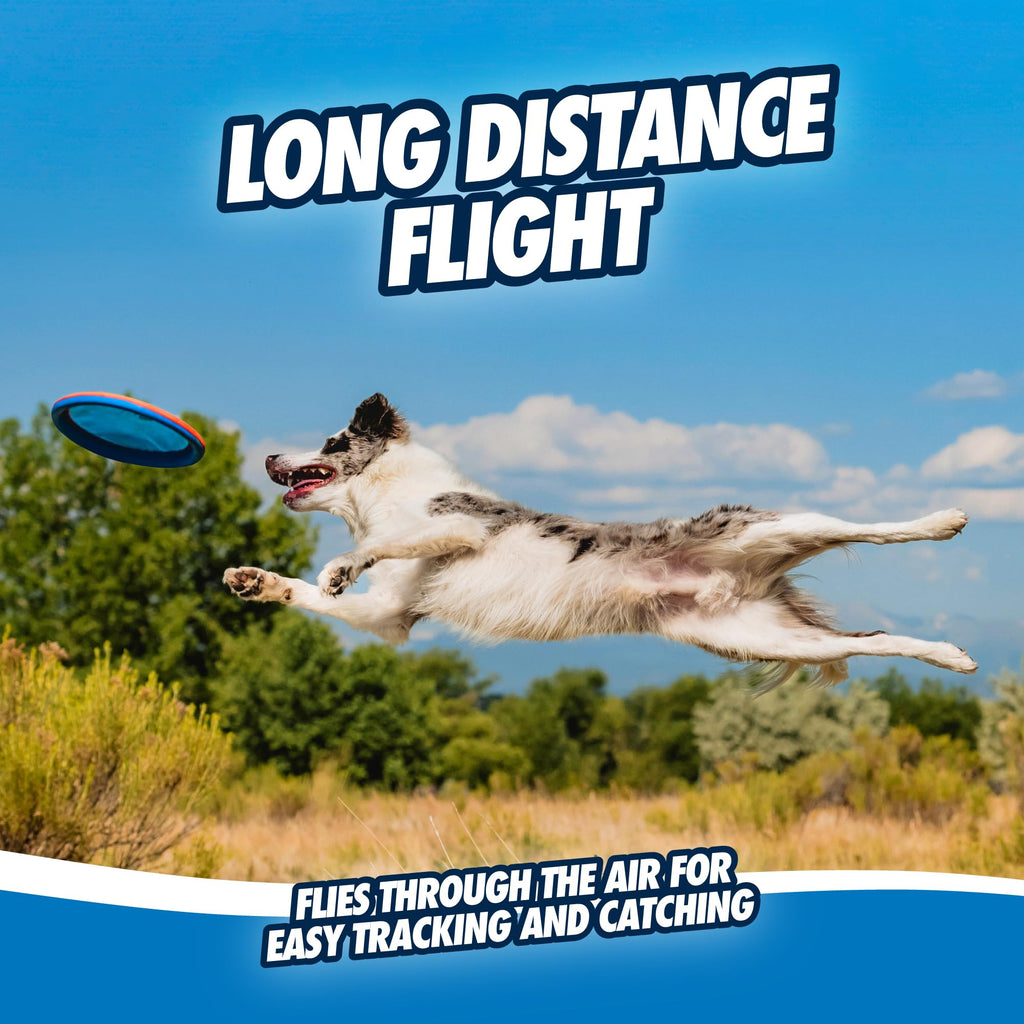 Flying Disc Dog Toy Large A275915