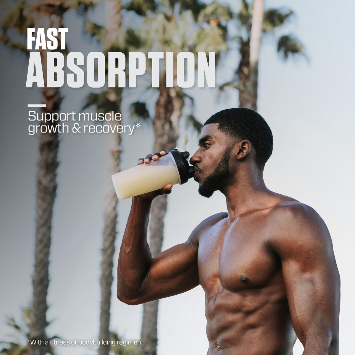 Whey Isolate Protein Powder L6326