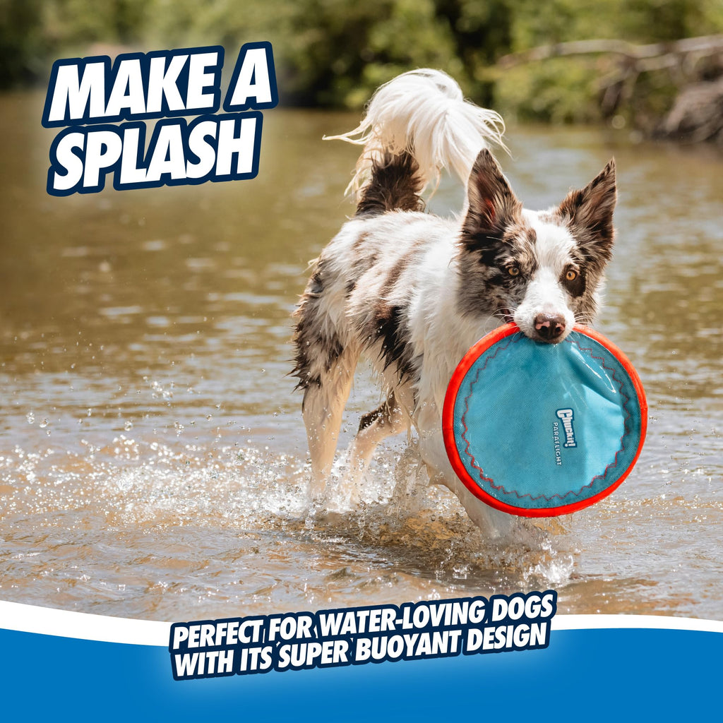 Flying Disc Dog Toy Large A275915