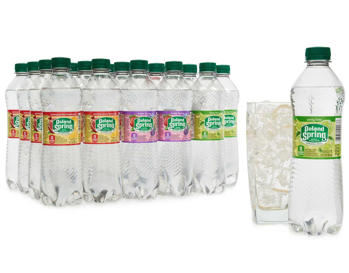Sparkling Natural Spring Water Variety Pack 24 Half Liter Bottles E66963