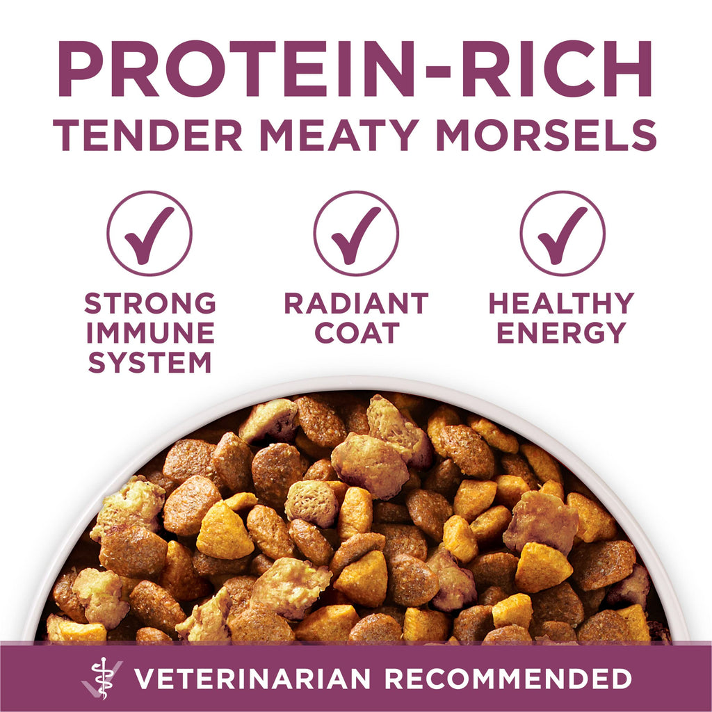 Chicken Dry Puppy Food 8 lb Bag T364391