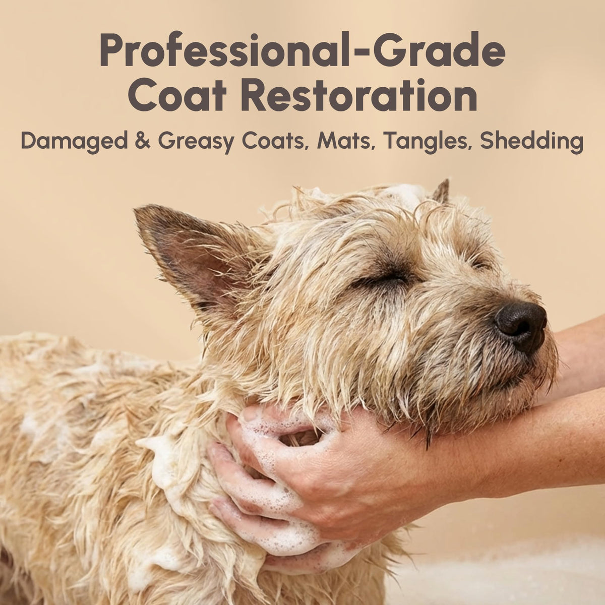 4-in-1 Pet Shampoo 1.1 Gallon W5575