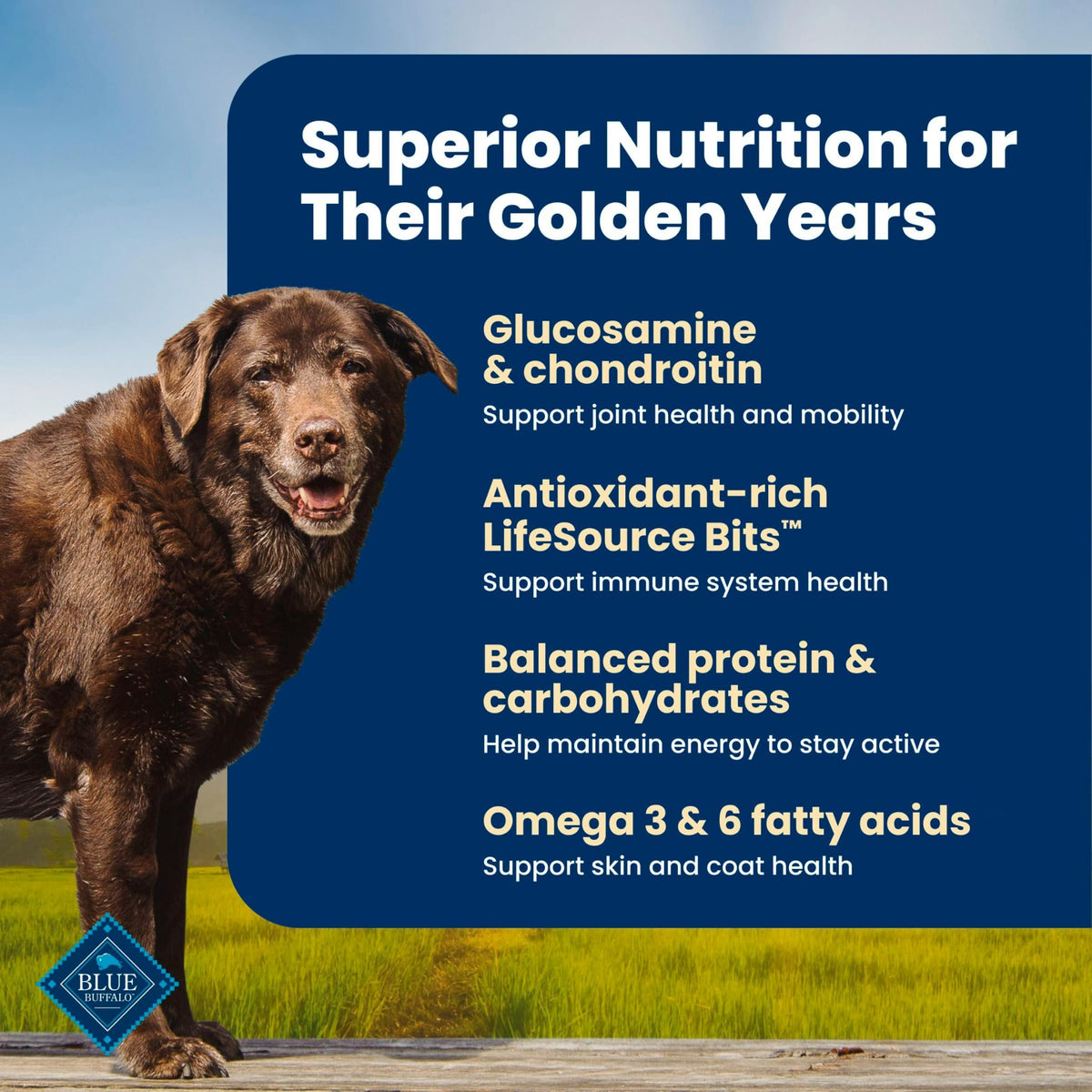 Chicken Senior 7+ Dry Dog Food, 15 lb R2026