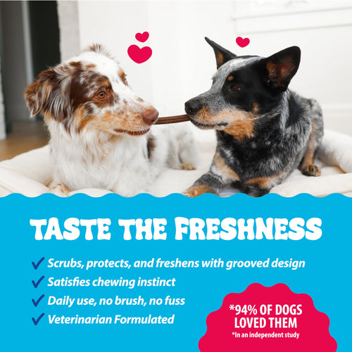 15 Ct Dental Treat Sticks for Large Dogs Y68539