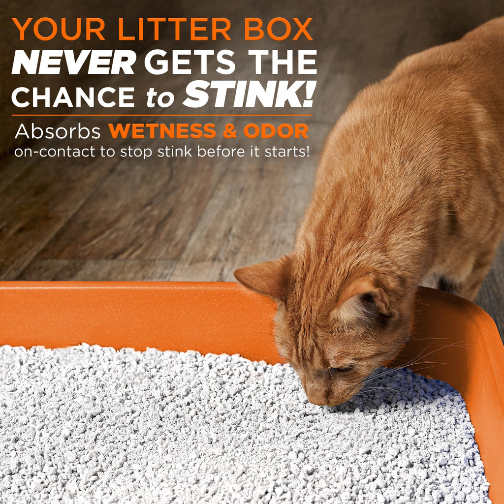 Cat Litter Odor Eliminator Additive 16 fl oz Bottle W768277