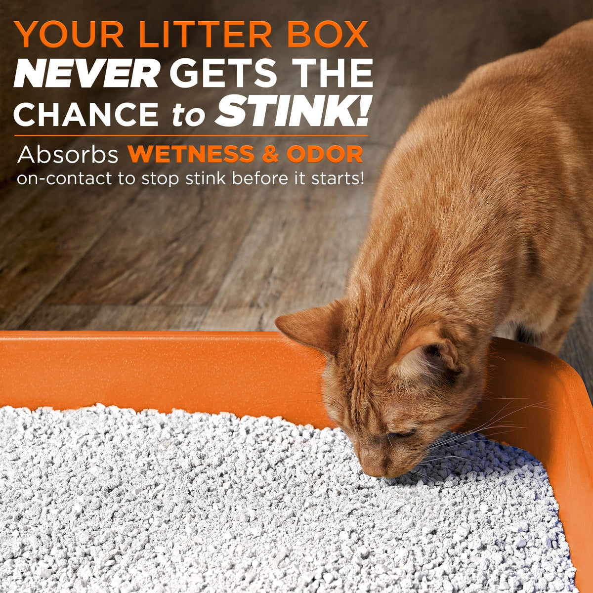 Cat Litter Odor Eliminator Additive 16 fl oz Bottle W768277